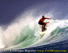 U-10.gif (97023 byte)