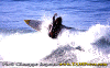 U-11.gif (61187 byte)