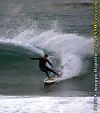 U-12.gif (111881 byte)