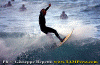 U-14.gif (84489 byte)