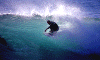 10-Gino-001.gif (65856 byte)