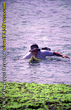 Fracas-002.gif (89814 byte)