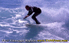 Fracas-005.gif (86938 byte)