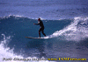 Fracas-007.gif (79075 byte)
