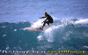 Fracas-008.gif (75207 byte)