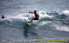 Fracas-009.gif (96316 byte)