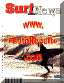 italy-surf news.GIF (25389 byte)