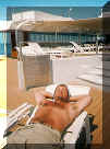 Nice Life Style.JPG (32532 byte)
